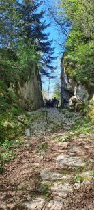 Photos Françoise